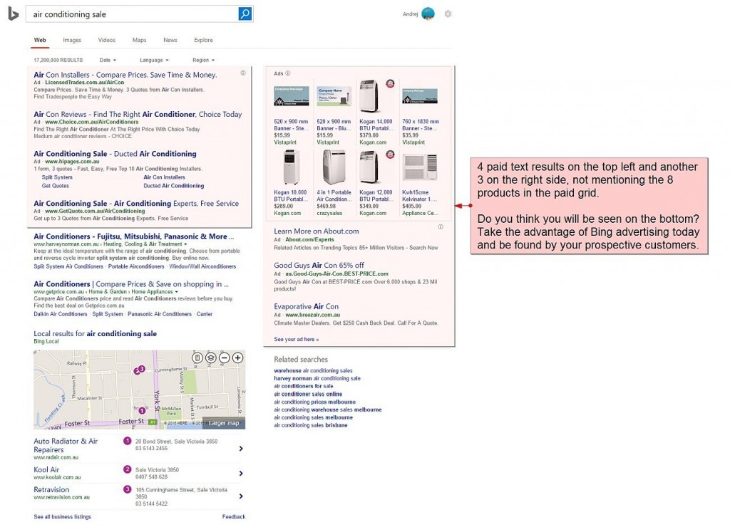 Bing Paid and Organic Search Results Share on the Screen
