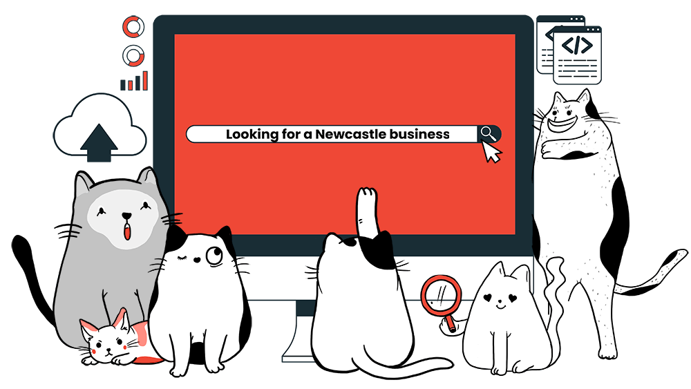 Catnapweb Expert Newcastle SEO services